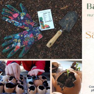 Seed Starting, Saving, and Sprouts, Farmhouse in the Valley ...