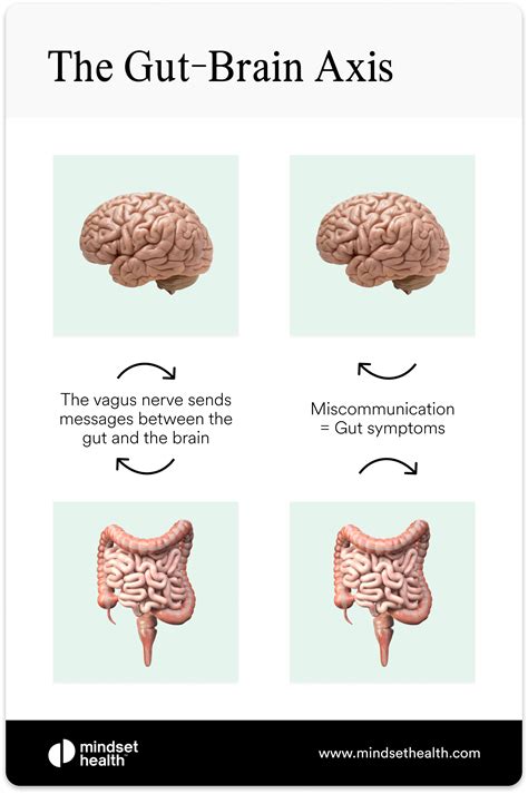 Anxiety and Diarrhea - What's the Cause and How to Stop It? | Mindset ...