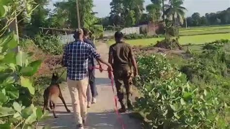 'Shamanic ritual called Jhaad-phoonk': Five members of a family burnt ...