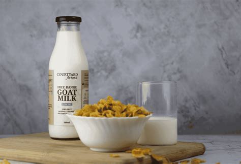 10 Proven Health Benefits of Drinking Goat Milk Daily: Is Goat Milk Go ...