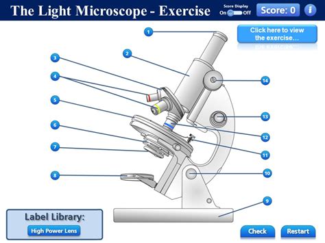 Microscopes GCSE Free Science Lessons 的图像结果