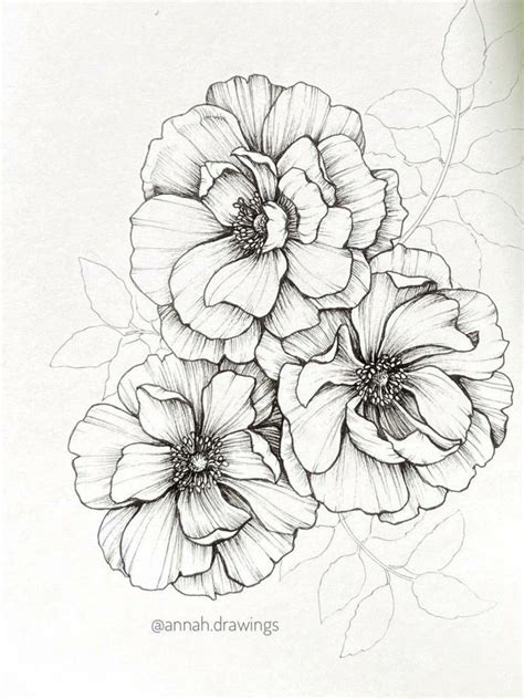 Image result for Minimalist String Drawing Flower