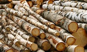 Image result for Things to Make with Birch Bark