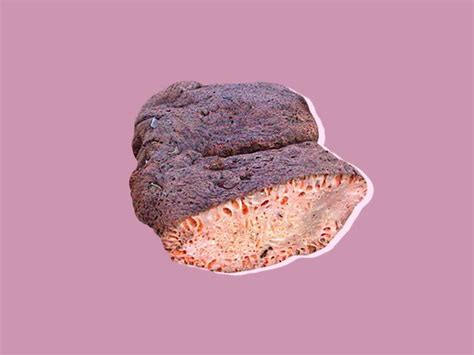 Копальхен / Блюдо дня – статья из рубрики "Как хранить" на Food.ru