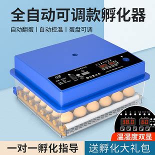 小鸡孵化器小型家用孵化机全自动智能家用型孵蛋器鸡苗水床孵化箱-阿里巴巴