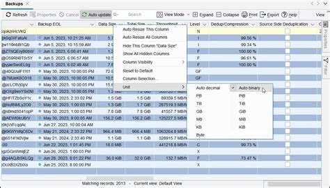 5 0 0:Changing Data Size Units - SEPsesam