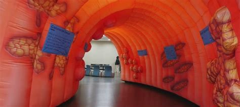 Explore the Mega Colon, 1620 Winchester Ave, Ashland, KY, United States ...