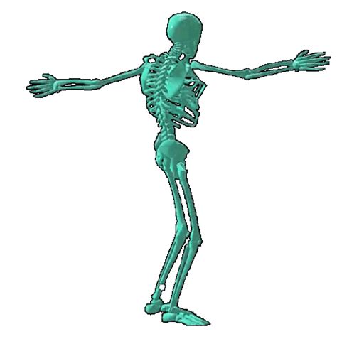 Image result for Skeleton GIF