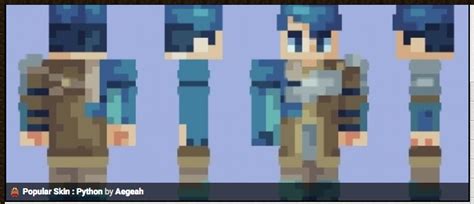 Image result for Python Minecraft Skin