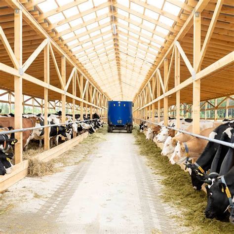 Продукты с фермы Антон Сапожков, ферма М2 ORGANIC в СПб в интернет ...