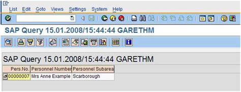 Image result for SAP Query Selection