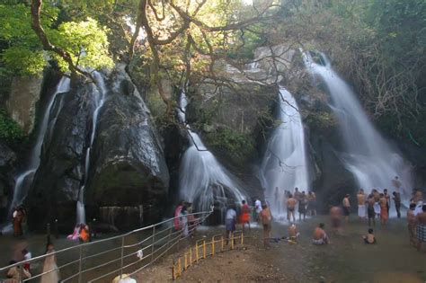 9626403300 - Tenkasi | Cab booking | Tour operator | Car rental ...
