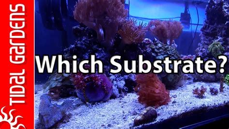 Image result for Fish Tank Substrate