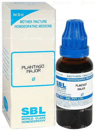 Sbl Plantago Major Mother Tincture 30 Ml - Uses, Side Effects, Dosage ...