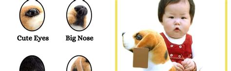 Buy Tickles Beagle Sitting Dog Soft Plush Stuffed for Kids Boys & Girls ...