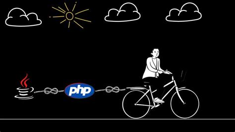 Image result for Learning Curve Programing Languages PHP/Java