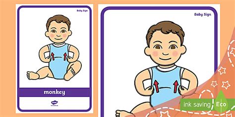 Image result for Monkey Sign Language Research