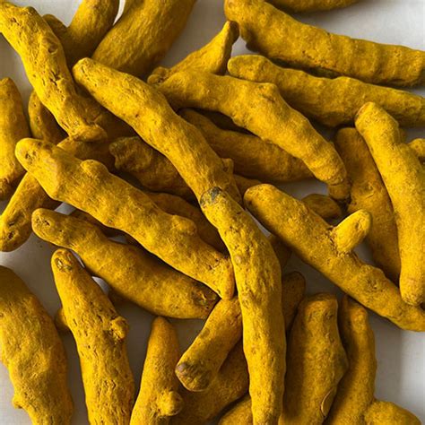 Spices Manufacturers in Parganas, Ammi India Foods Private Limited