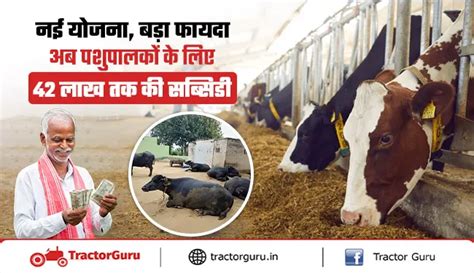 गाय-भैंस दुग्ध उत्पादन इकाई पर पशुपालकों को ₹42 लाख तक की सब्सिडी