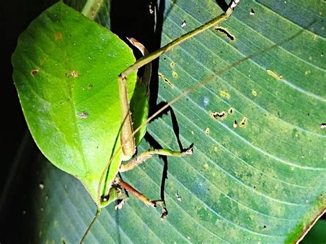 AGOUTI TOURS (2026) All You Need to Know BEFORE You Go (with Photos ...