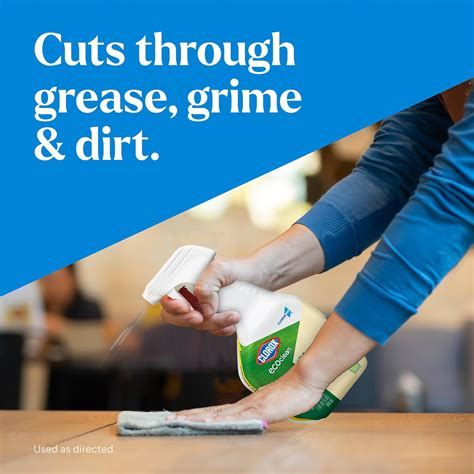 CloroxPro Clorox EcoClean All-Purpose Cleaner Spray India | Ubuy