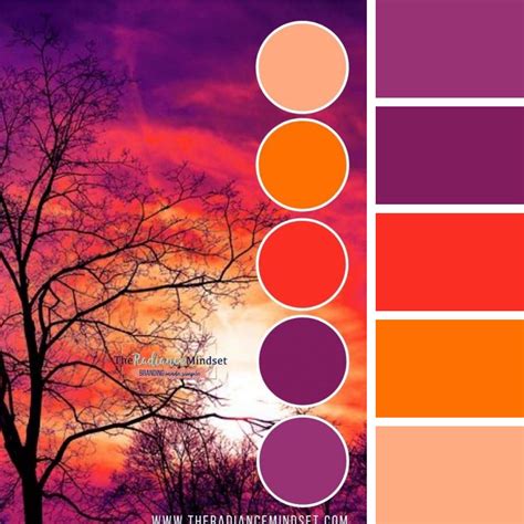 Orange, Pink, and Purple Color Palette