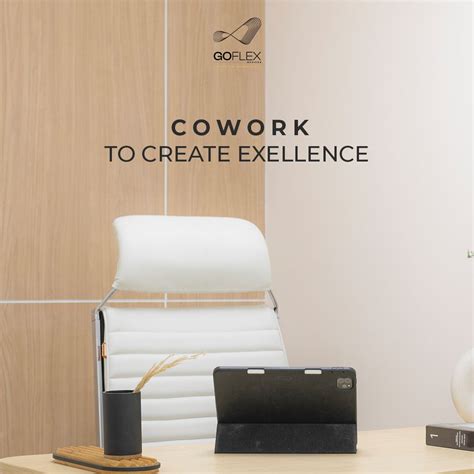 GoFlex Net 的图像结果