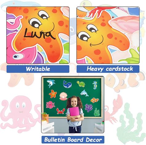 Chiazllta 48 Pcs Fish Cut-Outs Paper Colorful Classroom India | Ubuy