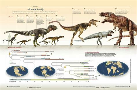 Dinosaur Evolution 的图像结果