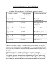 Image result for API 20E Manual PDF