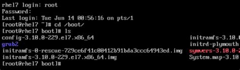Image result for Linux Kernel Error