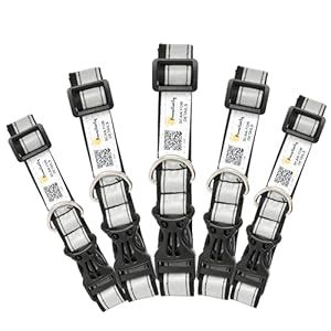 Buy Pawsitivity - Save Our Street Animals Nylon Smart Reflective Qr ...