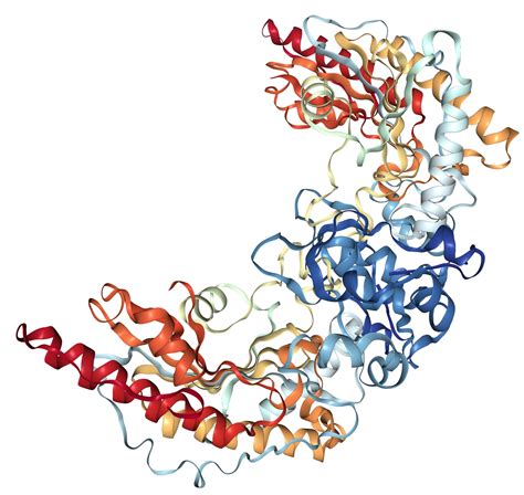 Image result for MATLAB Plot Sampling