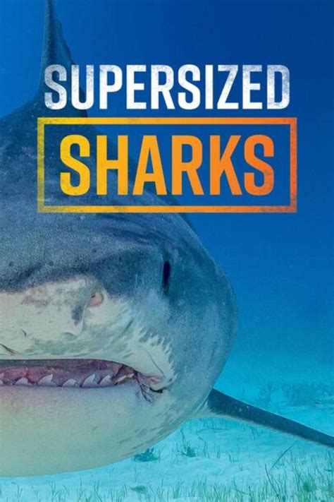 The Best New Shark Week Documentaries on Hulu