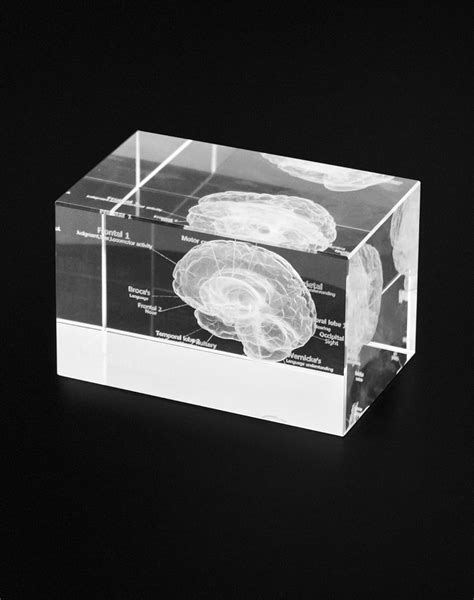 QWORK 3D Human Brain Anatomical Model, Laser Etching Crystal Glass Cube ...