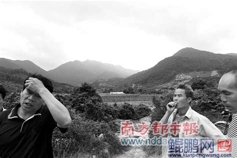 广东：疑私自承包山林 井龙村村民要求罢村官 园林资讯