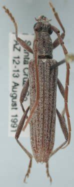 Image result for Raising Dion Netflix