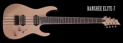 Image result for Schecter Banshee Elite