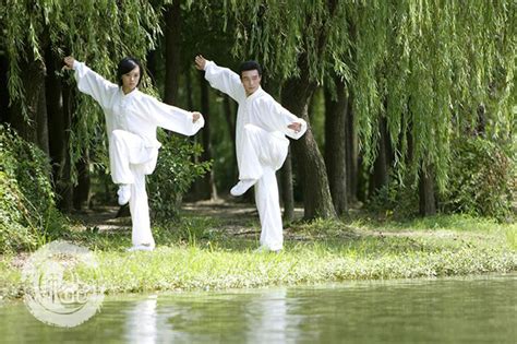 打太极送什么礼物最新素材