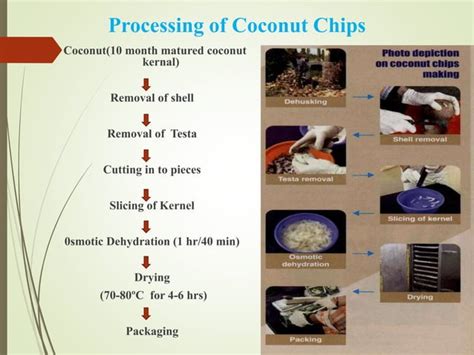 https://image.slidesharecdn.com/diptiii-ppt-170529155726/85/coconut-processing-25-638.jpg?cb=1665745457