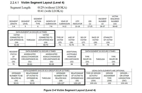 How to Use NIBRS 的图像结果