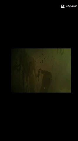 Image result for Alantutorial Seegore