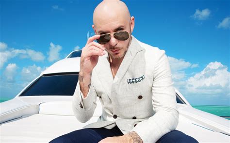 A Deep Dive Into The Legacy Of Pitbull Before 'Trackhouse' Release