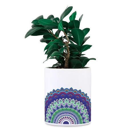 Gathari Desk Planter Ceramic Pot (Plants Not Included) for Home ...