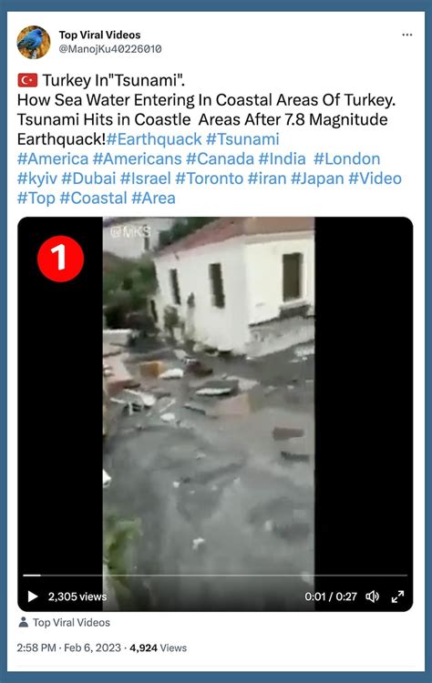 Fact Check: Tsunamis in Turkey after deadly earthquakes? Nope, these ...