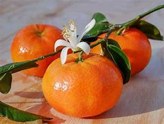 Image result for tangerines