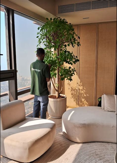 Garden Up Store