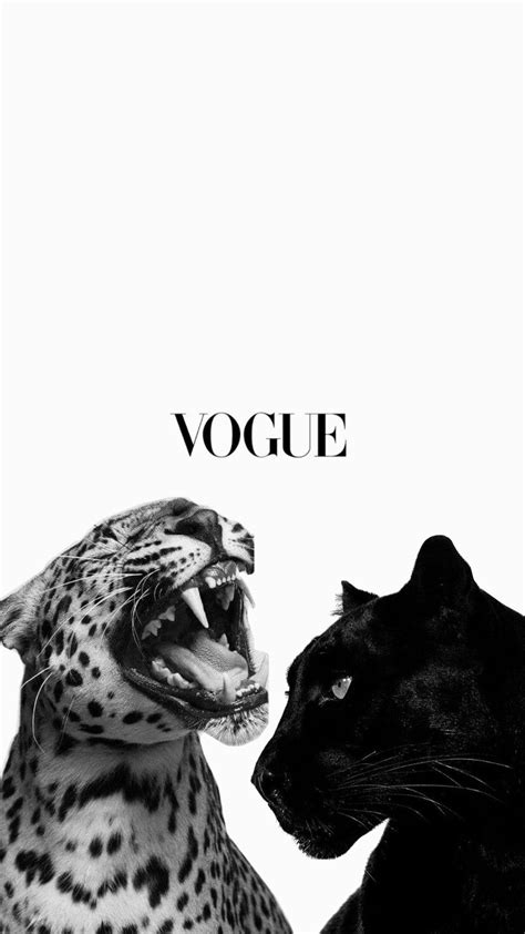 Pin by Alexis on Shuffle Pins by you | Leopard wallpaper, Black and ...