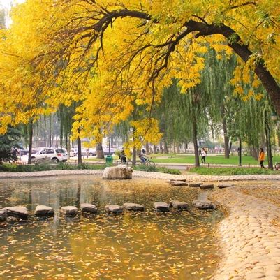北京十大最美大学校园排行榜-排行榜123网