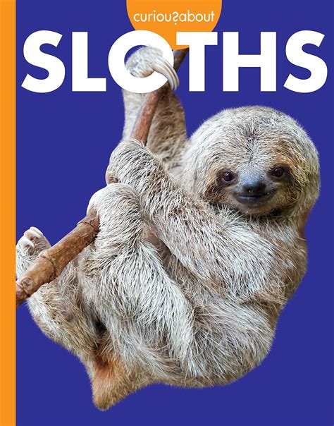 Buy Curious About Sloths (Curious About Wild Animals) Book Online at ...